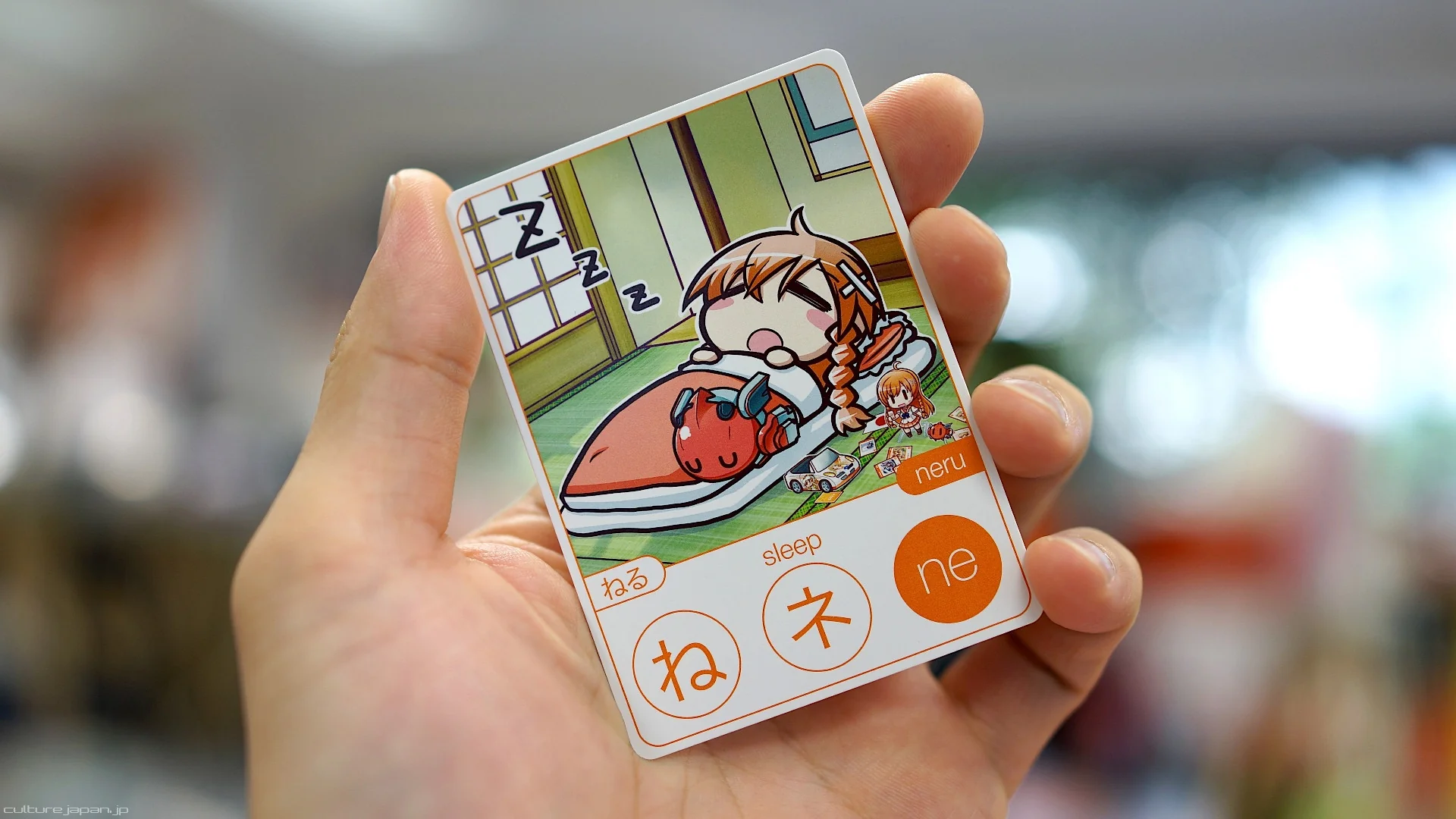 Thumbnail 11